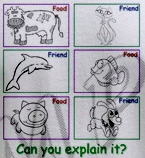 Friend or Food?