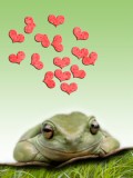 FroggyLove